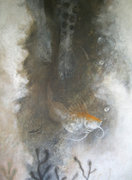 "PECES DE CIUDAD"