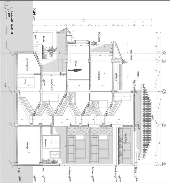 SECTION