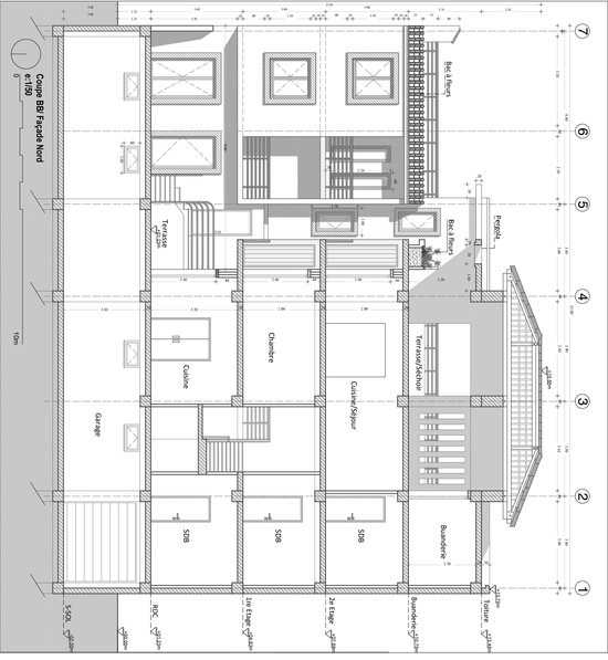 SECTION