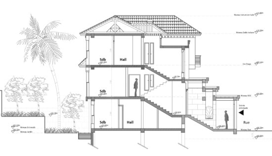 SECTION
