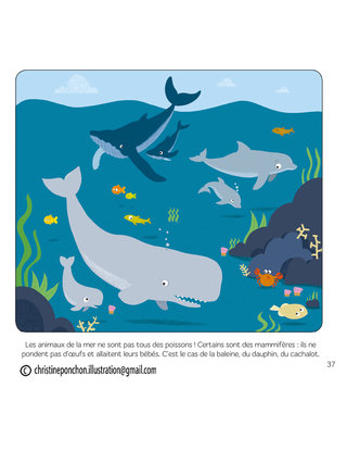 LAROUSSE_ BABY ENCYCLOPEDIE