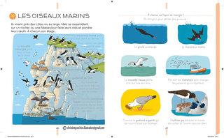LAROUSSE- ENCYCLOPEDIE DES PETITS -LA MER