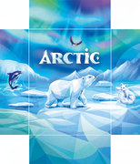 couverture du jeu Arctic