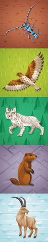 animaux du jeu Alpino