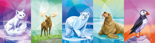 cartes Animaux Arctic