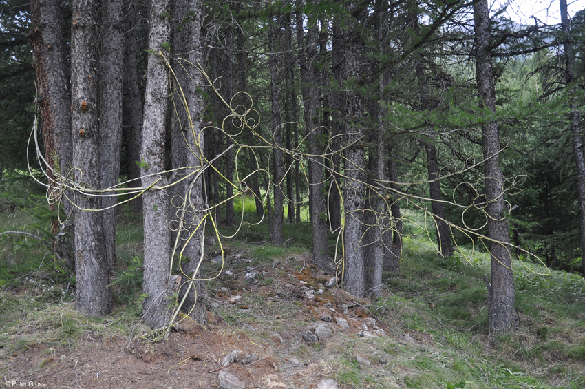 Dentelle du Queyras, SAN Sentier Arte e Natura, Molines en Queyras, France, juillet 2010 ©Peter Gross /// Queyras lace, SAN Arte e Natura trail. Molines en Queyras, France, July 2010 ©Peter Gross