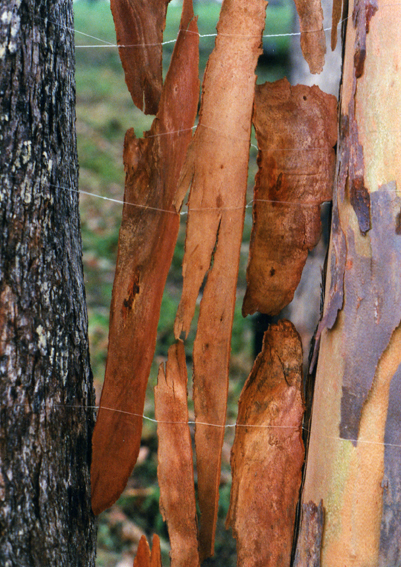 Re-Union, détail, symposium Sticks & stones, Woodford, Australia, 2001 /// Re-Union, detail. Sticks & stones Symposium in Woodford, Australia, 2001.