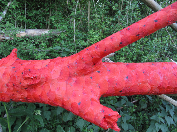 Tronc pétalisé, Vaux en Couhé, 2011 /// Petalised tree trunk. Vaux en Couhé, 2011.