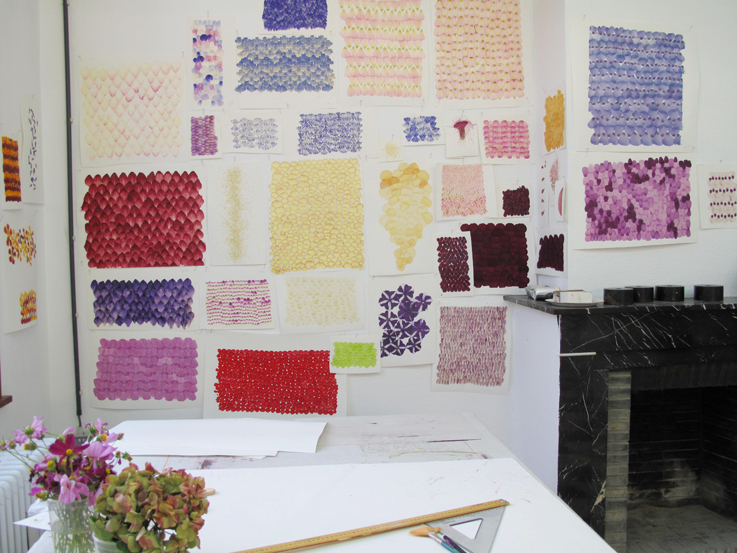 Vue d'atelier, recherches pétalisées /// A view of my research works on petalisation