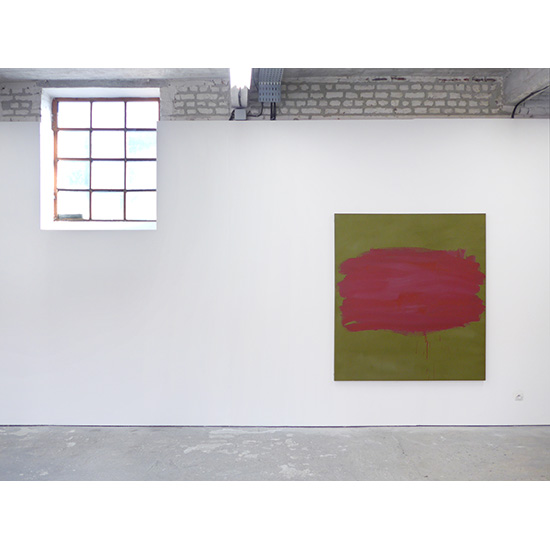 « Anatomie du rien » Exposition Résidence à L'H du Siège, Valenciennes, du 9 janvier au 25 mars 2016
