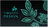 logo Turquoise design