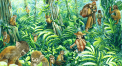 Randonnée tropicale - Chloé Ozier-illustrateur jeunesse