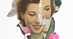La vie en rose - Claire Le Roy-illustrateur