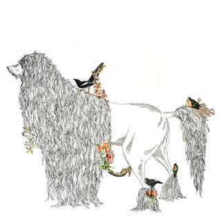 A l'ombre des jeunes pies en fleurs