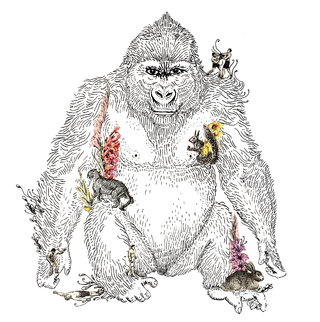 Le sens des origines