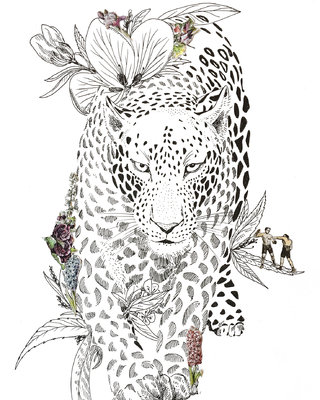 Panthère des neiges