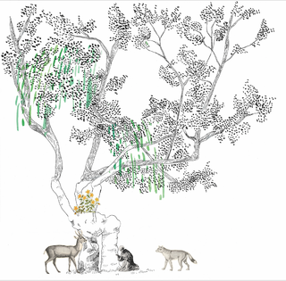 L'aubépine de Mayenne