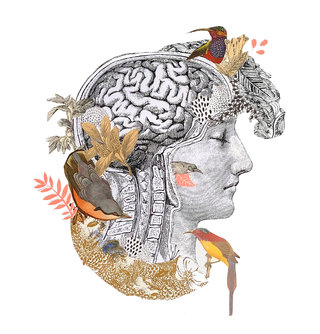 Pensées de haut vol