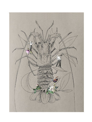 Coquillages et crustacé