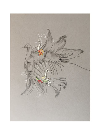 Crustacé et coquillage