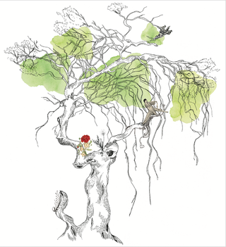 Le fau de la demoiselle dans la forêt de Verzy