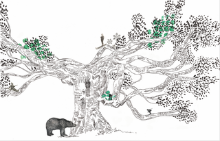 Le genévrier de Durban-Corbières