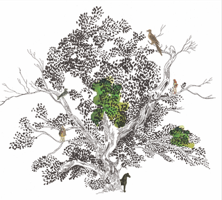 Le châtaigner de Bellieux