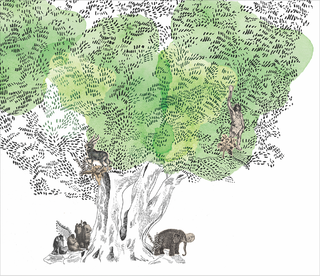 Le bel olivier de Filitosa