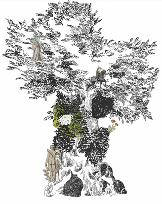 Le vieil orme de Biscarrosse