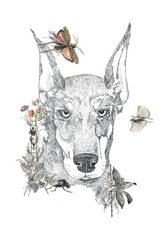 Pensées chien-pêtres