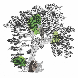 Le robinier du square Viviani