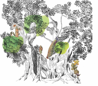 Le tilleul de Grange Sauvaget