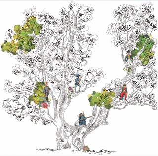 Le tilleul de Schoenenbourg