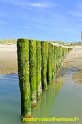 marée basse