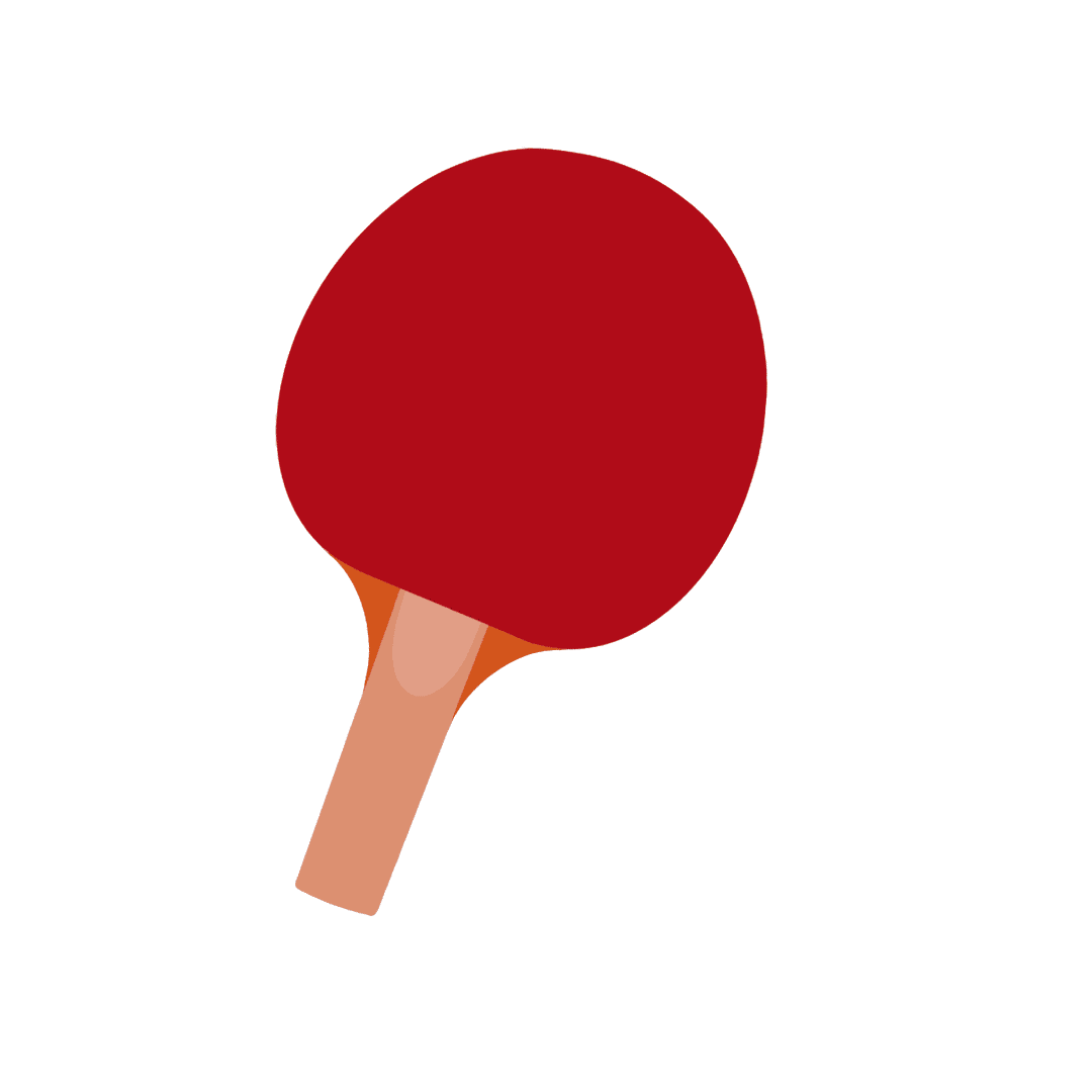 PING PONG PADDLE. Personal project.