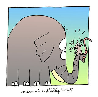 Mémoire d'éléphant