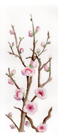 Inspiration Japon - Fleurs de cerisier