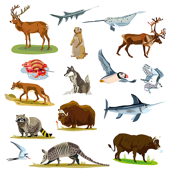 dessins d'animaux pour globe terrestre