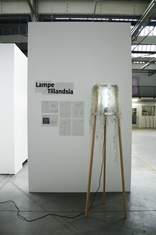 lampe-diplome.jpg