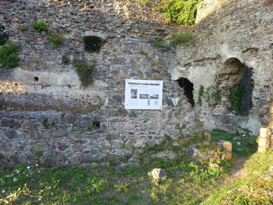 P1040020.JPG