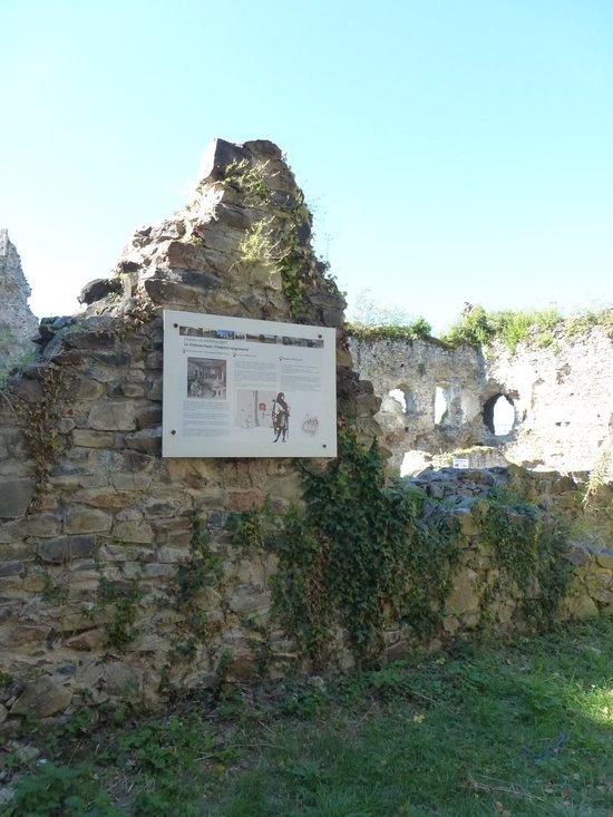 P1080708(1).JPG