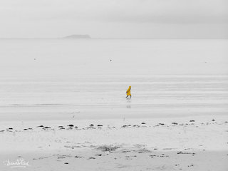Ciré jaune (PHOTOpeinture). Perros Guirec