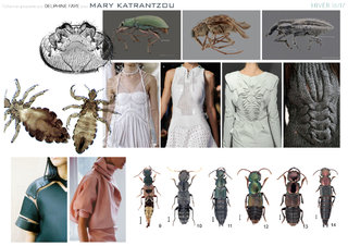 Insects Inspo