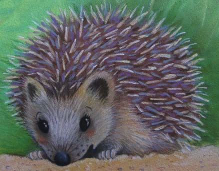 herisson - christel desmoinaux - illustrateurs/rices-jeunesse