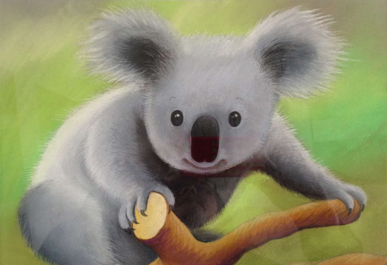 Koala - christel desmoinaux - illustrateurs/rices-jeunesse