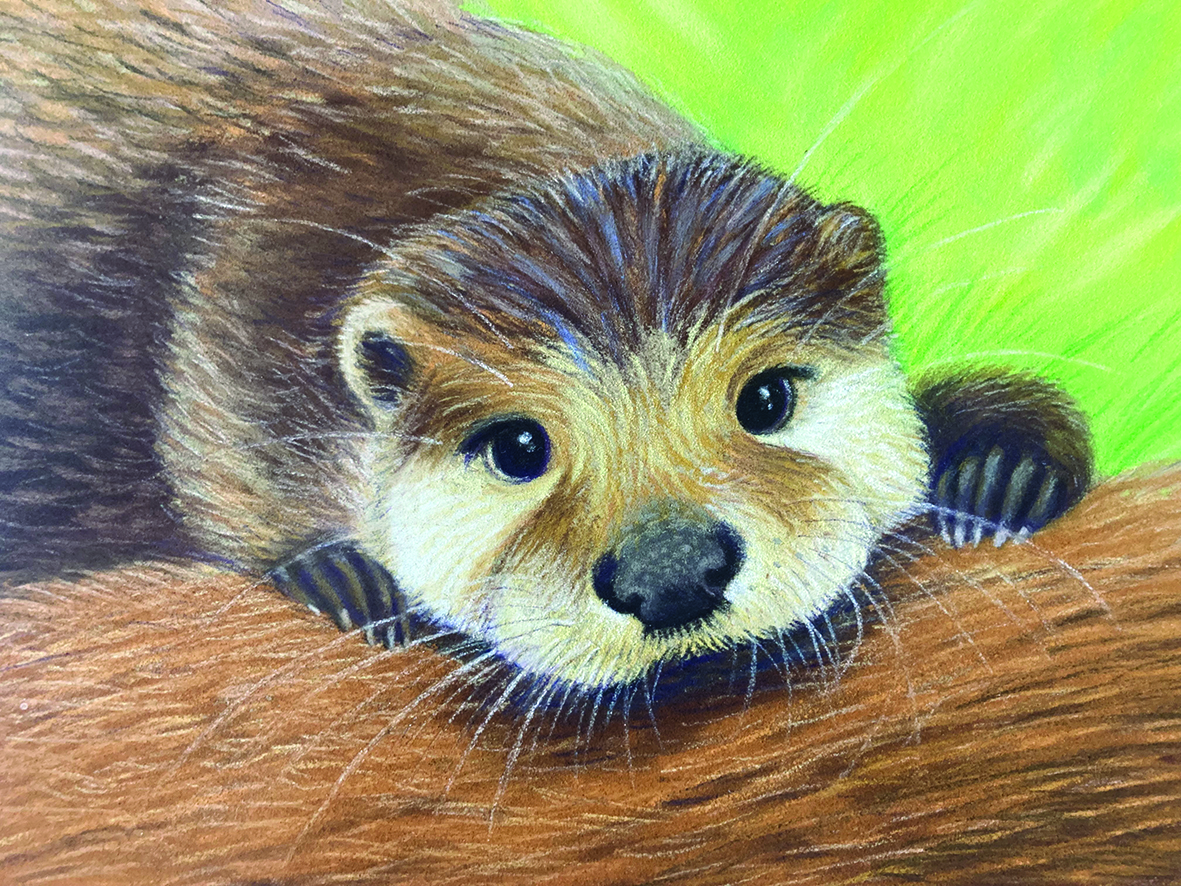 Loutre réaliste - christel desmoinaux - illustrateurs/rices-jeunesse