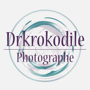 Portfolio de drkrokodileÀ Propos : Contact