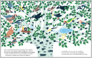 Drôles de z'oiseaux / EDITIONS AMATERRA / 2019