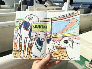 CARNET DE VOYAGE / SENEGAL