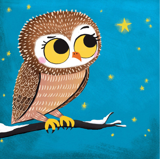 chouette_ J'apprends à lire.JPG